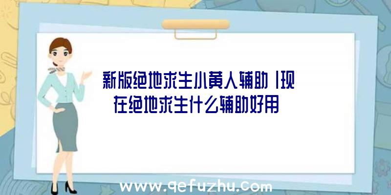 「新版绝地求生小黄人辅助」|现在绝地求生什么辅助好用